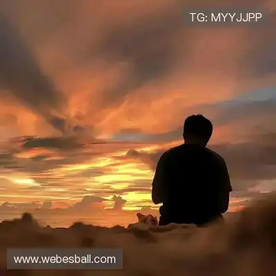 郑晓彤